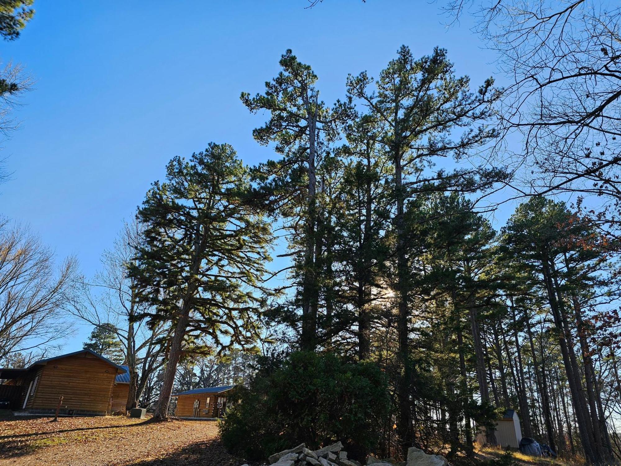 2 Min To Beaver Lakeking Bedfirepitjetted Tub * Eureka Springs